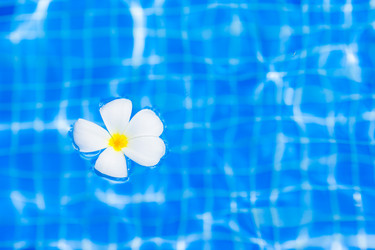 Similar image 10889655