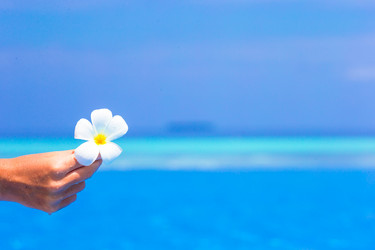 Similar image 10889679