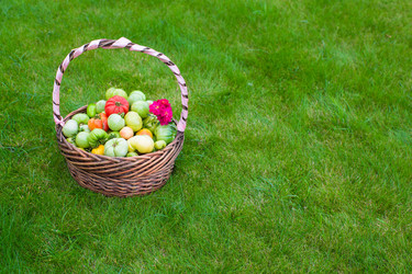 Similar image 10889716