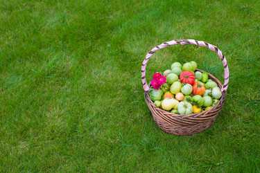 Similar image 10889717