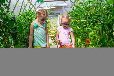 Similar image 10887682