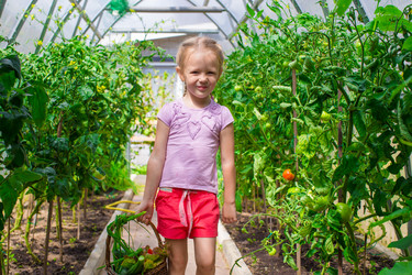 Similar image 10887698