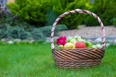 Similar image 10889734