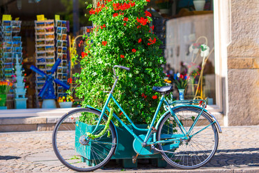 Similar image 10899922