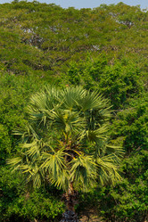 Similar image 10879020