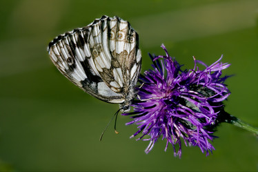 Similar image 10886224