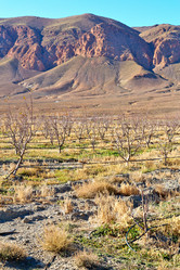 Similar image 10886289