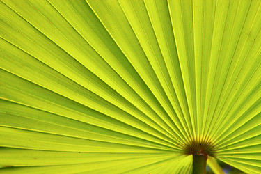 Similar image 10886390