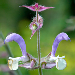 Similar image 10879406