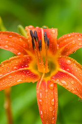 Similar image 10879407