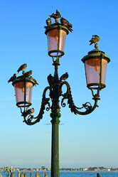 Similar image 10879456