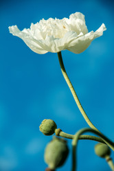 Similar image 10883930