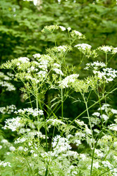 Similar image 10879448