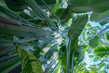 Similar image 10901149