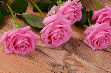 Similar image 10881827