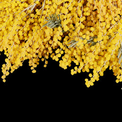 Similar image 10881839