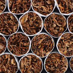 Similar image 10881844