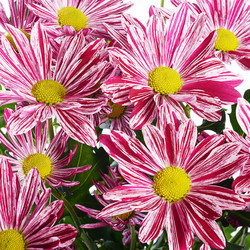 Similar image 10881877