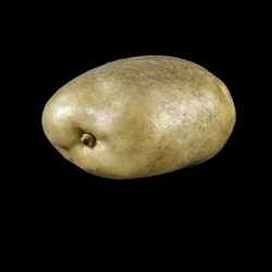 Similar image 10879465