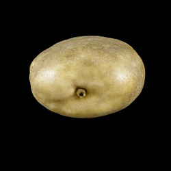 Similar image 10879466