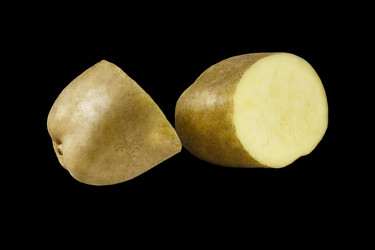 Similar image 10879467