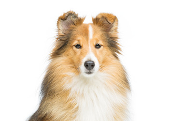 Similar image 10894260