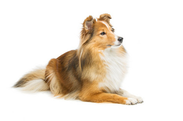 Similar image 10894261