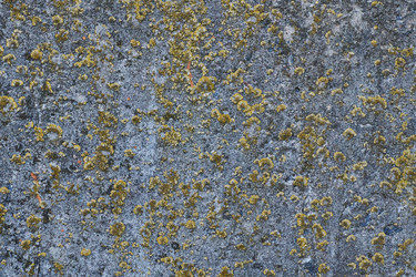 Similar image 10879671