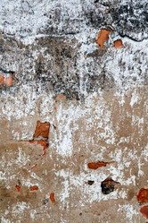 Similar image 10879676