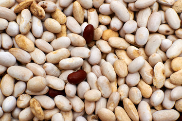 Similar image 10879698