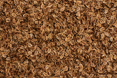 Similar image 10880220