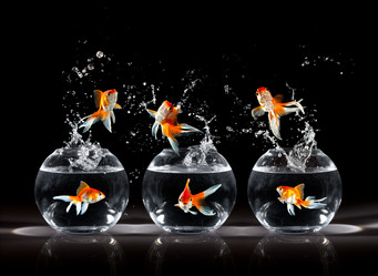 Similar image 10900901