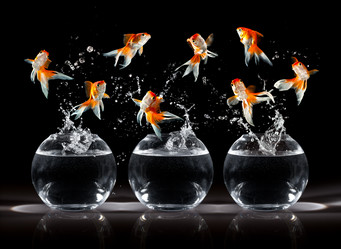 Similar image 10900902