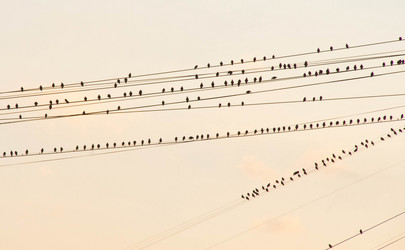 Similar image 10880070