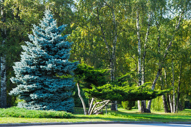 Similar image 10880081