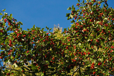 Similar image 10880084