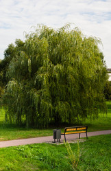 Similar image 10880085