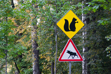 Similar image 10880087