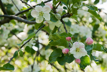 Similar image 10880093