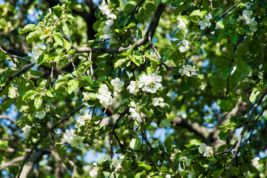 Similar image 10880100