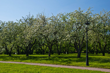 Similar image 10880101