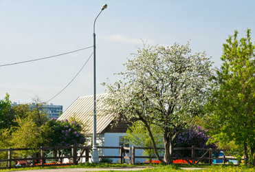 Similar image 10880104