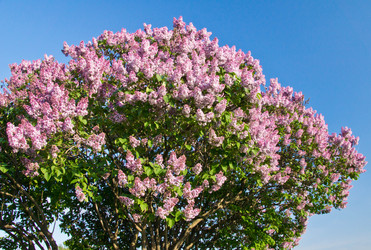 Similar image 10880105