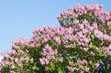 Similar image 10880110