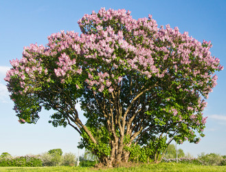 Similar image 10880113