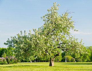 Similar image 10880116