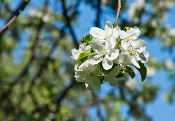 Similar image 10880117