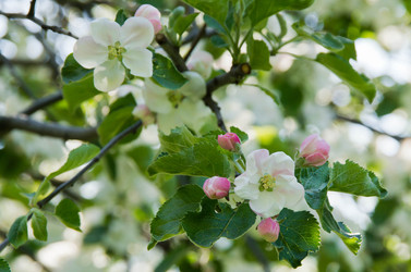 Similar image 10880139