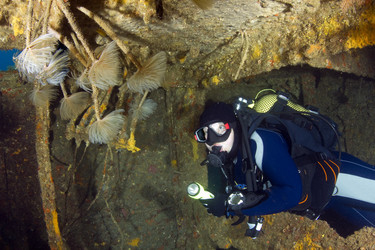 Similar image 10879739