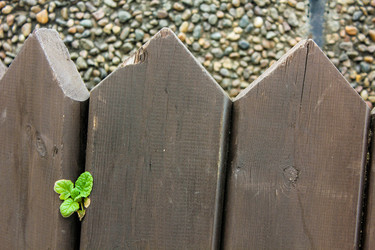 Similar image 10882402